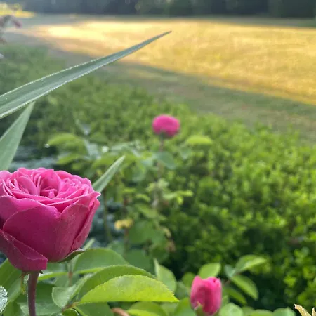 Sunrise Nad Morzem I Jeziorem Kopan